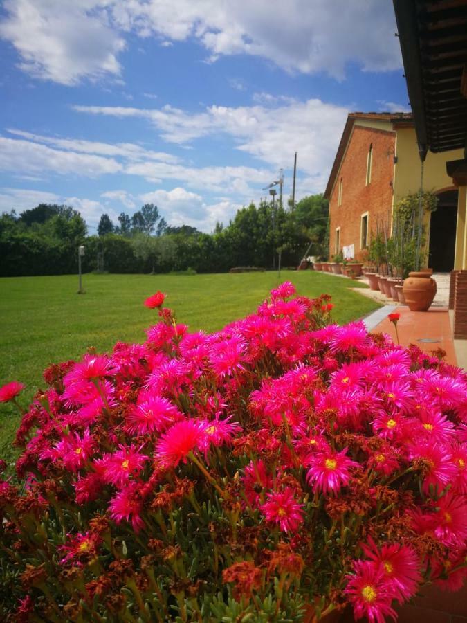 B&B La Fornace Del Sole Capannori Exterior photo