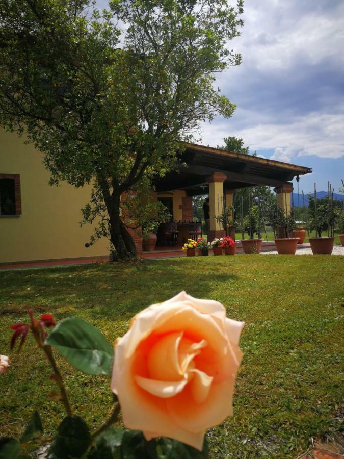 B&B La Fornace Del Sole Capannori Exterior photo